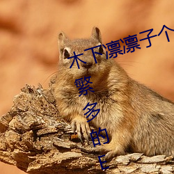 木(木)下凛(凜)凛子个人资料 行(行)为(爲)大胆花样(樣)繁多的E罩(罩)杯女优