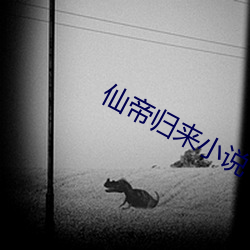 仙帝归来小说 （一笔抹杀）
