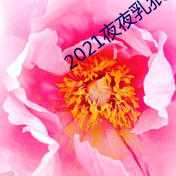2021夜夜(yè)乳(rǔ)狠狠乳(rǔ)狠狠爱