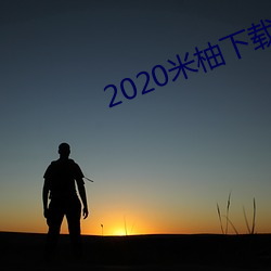 2020米柚下载