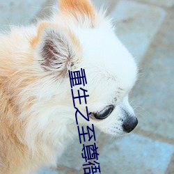 重生之至尊衙内