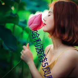 金年会 | 诚信至上金字招牌