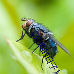 《交换的日子》大结局