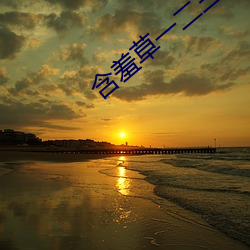 含羞草一二三