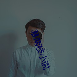 慕南枝小说