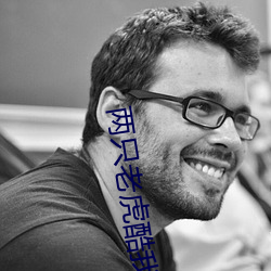 兩只老虎酷我音樂