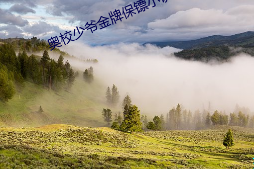 奧校少爺金牌保镖小說