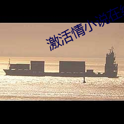 激活情小说在线观看txt