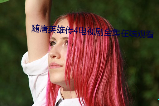 随唐英雄传4电视剧全集在线观看