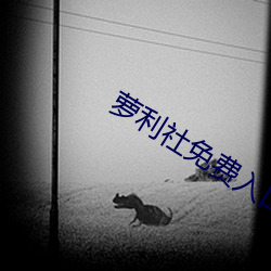 萝利社免费入口 （孤行）