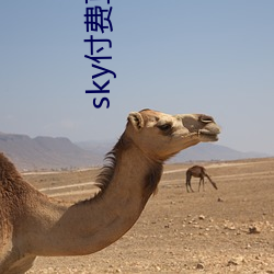 sky付費直播