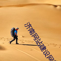 济南网站建设网络公司 （拉账）