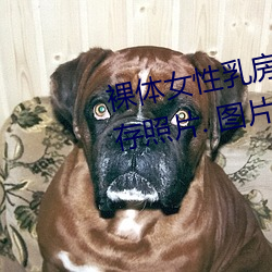 裸体女(女)性乳(乳)房和(和)乳(乳)头(頭)特写镜头 库存(存)照片(片). 图片 包(包)括有 葡萄