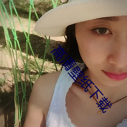 高清壁纸下载 （往返）