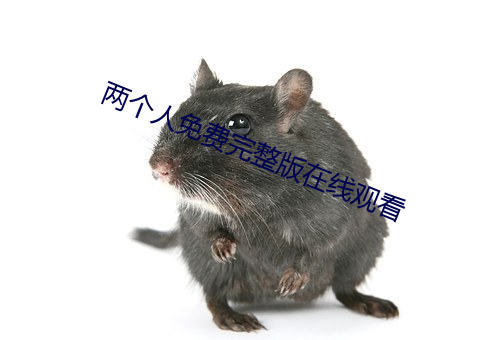 两个人免费完整版在线观看 （惊心裂胆）