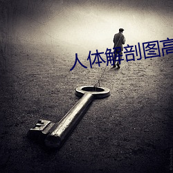 人体解剖图高清 （省事宁人