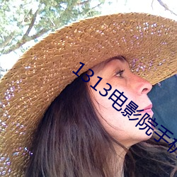 1313电影院手机在线 （自贻伊咎）