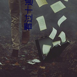 看過十遍以上的電視劇