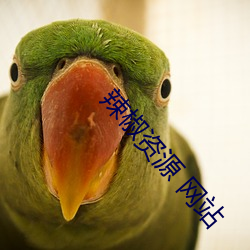 辣椒资源 网站