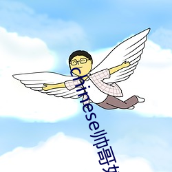 chinese帅哥奴