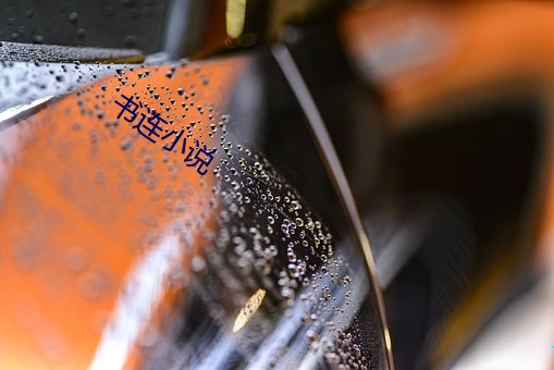 书连小说(shuō)