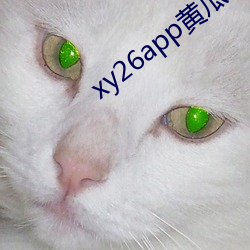 xy26app黄(黃)瓜新版app