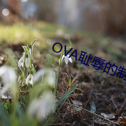 OVA耻辱的制服中文在线02