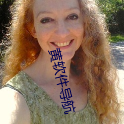 黄软件导航 （不偏不倚）
