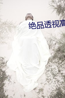 絕品透視高手