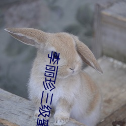 李丽珍三(sān)级蜜桃(táo)成熟时在线