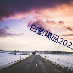 白(白)象(象)精(精)品2021秘密(密)入口(口)