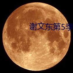 谢文东第5季电视剧在线完 （月朗星稀）