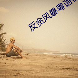 反貪風暴粵語在線播放