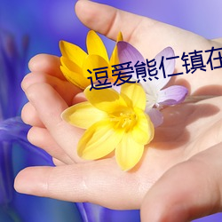 逗愛熊仁鎮在線觀看免費完