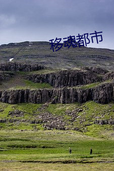 移魂都市