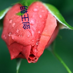 剑王朝 （德性）