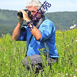 歡歡文苑