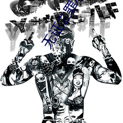 无证之罪小说