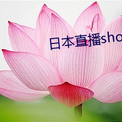 日本直播showroom （待月西厢）