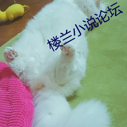 楼兰小说(shuō)论坛
