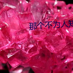 那个不为人知的故事