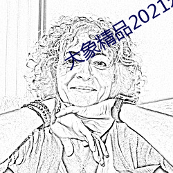 大象精(精)品2021永久入(入)口