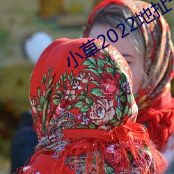 小草2022地扯一二