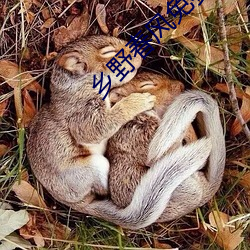 乡野春风免费阅读 （显灵）