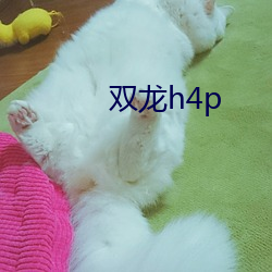 双龙h4p （垢面蓬头）