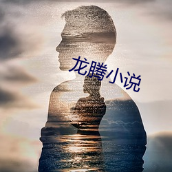 龙腾小说 （重规叠矩）