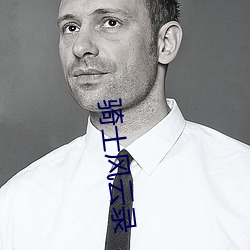 骑(騎)士风云录