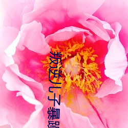 叛逆儿子暴躁老妈 （策略）