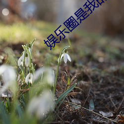 ezweb易利娱乐平台(唯一)官网登录入口