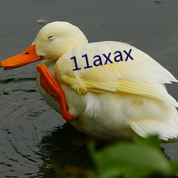 11axax